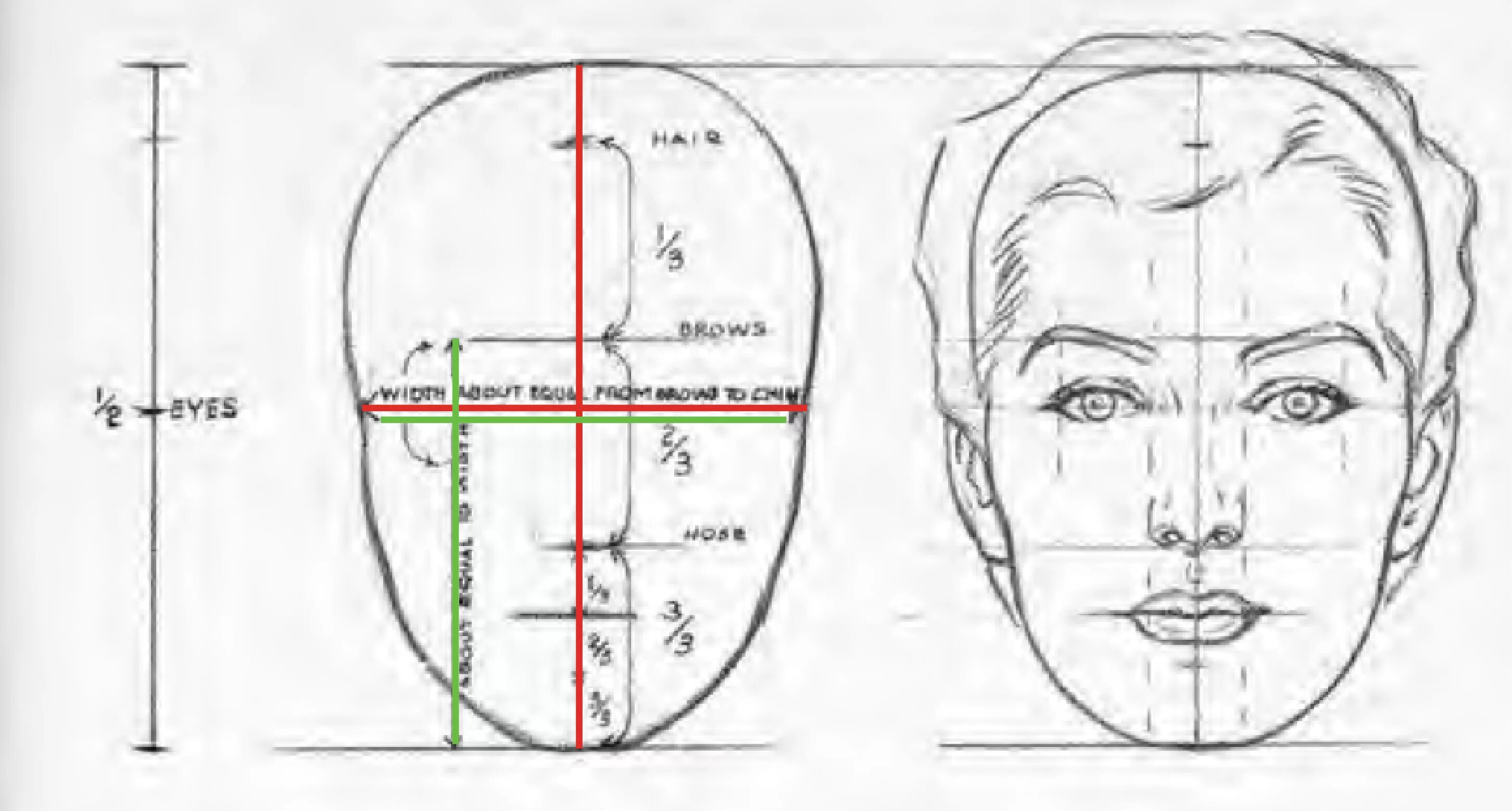 Длина лба. Пропорции головы человека порт рисовании. Пропорции лица человека при рисовании портрета схема. Конструкция головы человека схема. Пропорции головы человека рисунок.