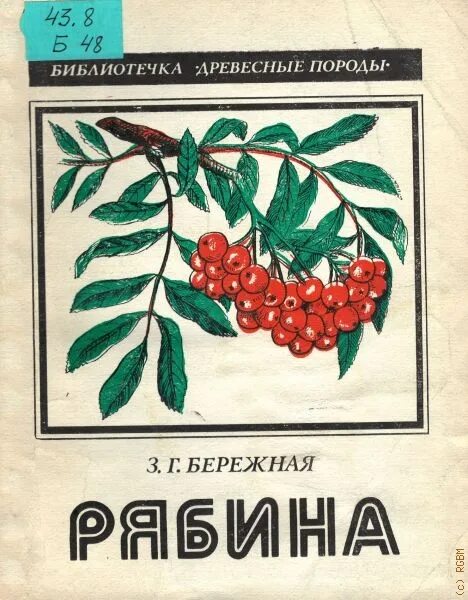 Книги о рябине. Мариони Георгиевна арония. Рябина и книга Эстетика. Читать книгу рябиновая невеста