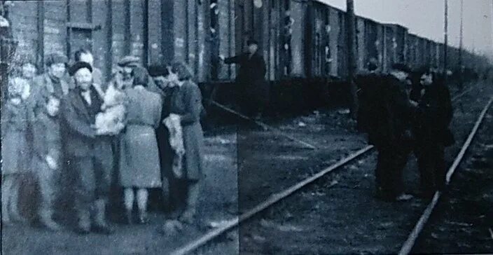 Последняя депортация. Депортация корейцев в казахстан 1937. депортация эстонцев в 1949. депортация в ссср. депортация калмыков и чеченцев.