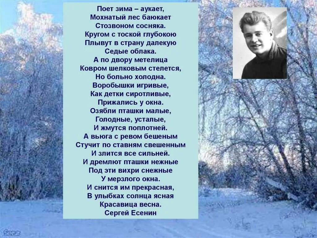 Стихи о зиме русских поэтов. Есенин стихи о зиме. Стихи Есенина о зиме. Зимнее стихотворение есенина