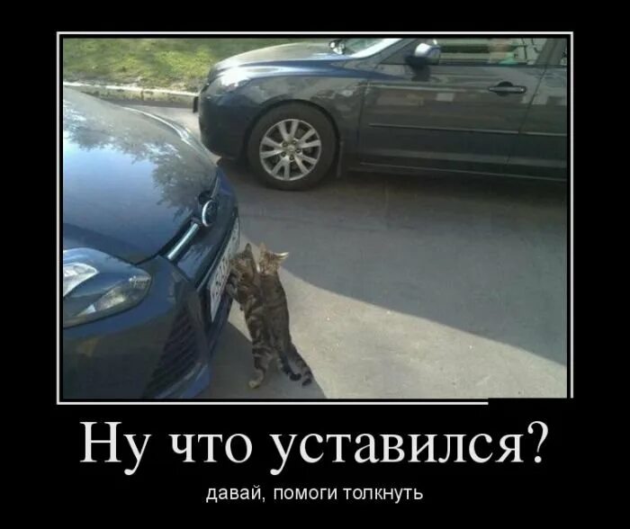 Кот с сигаретой и ключом. Кот ремонтирует машину. кот чинит машину. помогите демотиватор. кот механик.