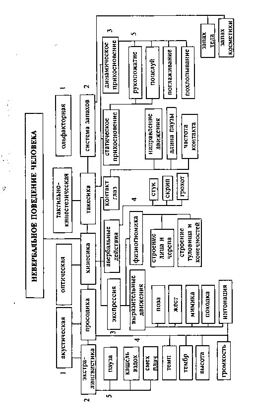 Вербальное и невербальное общение схема. Лабунская невербальное поведение. Лабунская невербальное поведение. Структурная схема невербального поведения человека. Лабунская психология затрудненного общения.