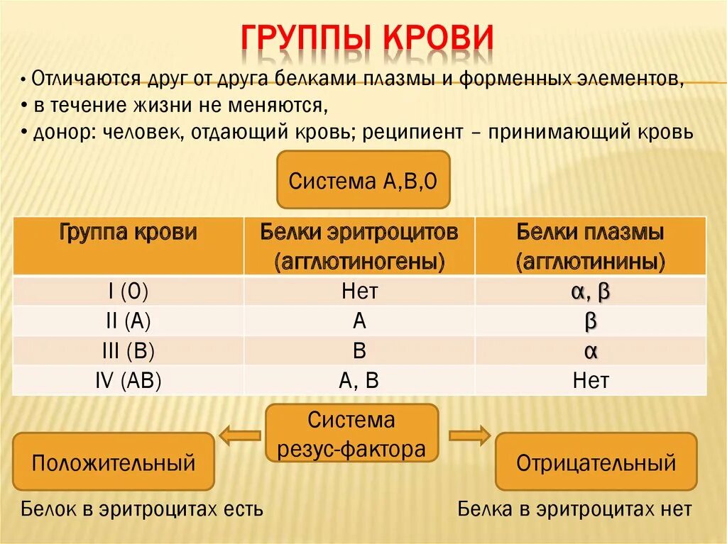 Чем отличается положительная группа