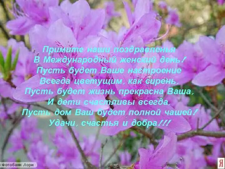 Пусть будет ваше настроение всегда цветущим как сирень. Пусть будет ваше настроение всегда цветущим как. Пусть будет настроение цветущим как сирень. Стих пусть будет ваше настроение всегда цветущим как сирень.