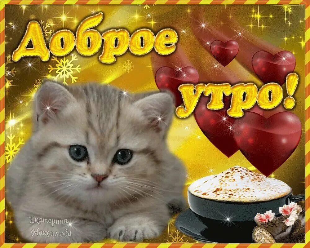 Коты красивые с добрым утром