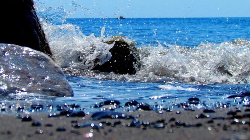 Клякса липецк. Выплаты за детей. Море любит сильных. Я люблю море картинки. Станюкович побег.