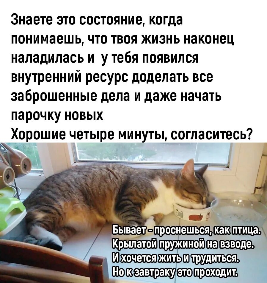 Минута согласиться. Часы жизни. Одна минута. Социопатия юмор. Среда рисунок мем.