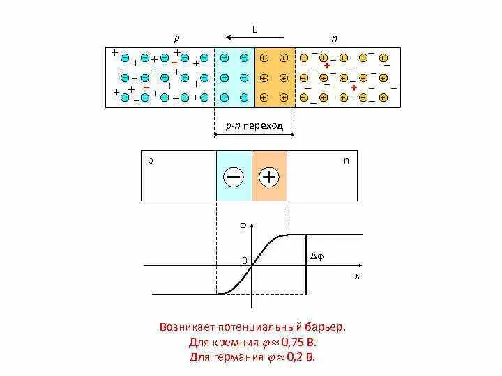 Радиоматериалы и радиокомпоненты. Несимметричный р + -n переход. Прямое и обратное смещение p-n. Потенциальный барьер p-n. Зонная структура p-n перехода.