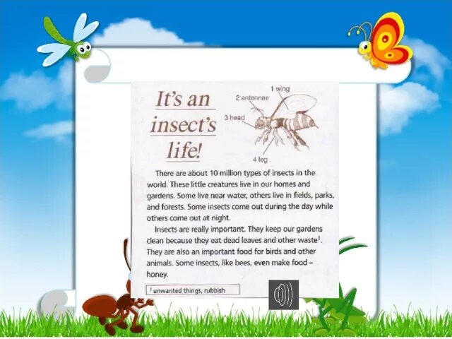 My mum is like a bee because. Насекомые по английскому. My Pet 5 класс Spotlight. Insects творческий проект по английскому языку 5 класс. Насекомые на английском 5 класс Spotlight.