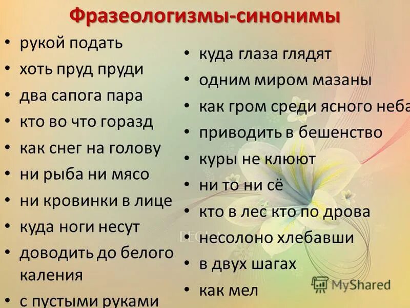 Синонимы 6 лет. Фразеологизмы. Слова фразеологизмы. Фразеологизмы синонимы примеры. Фразеологизмы синонимы.