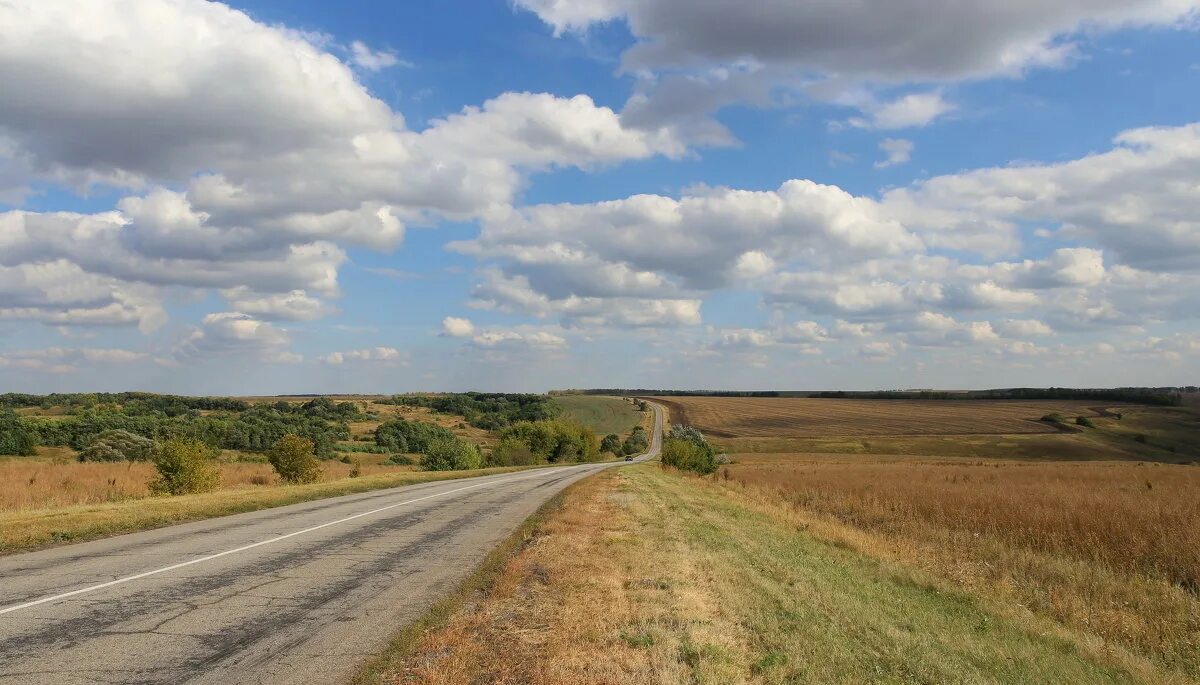 а дорогой серою лентою вьется. а дорога серою лентою вьется. пусть дорога серою лентою вьется. пусть дорога серою лентою вьется. дорога амафли.