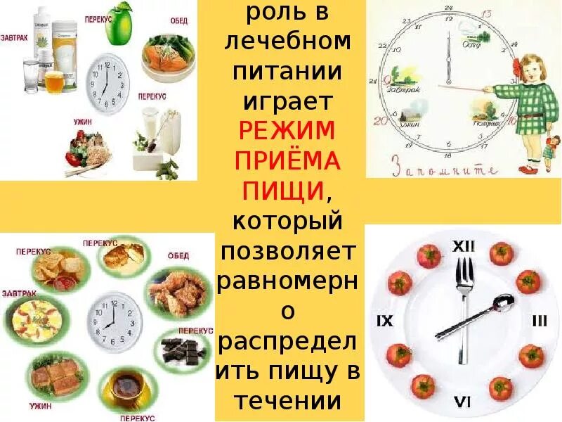 Из чего состоит обед
