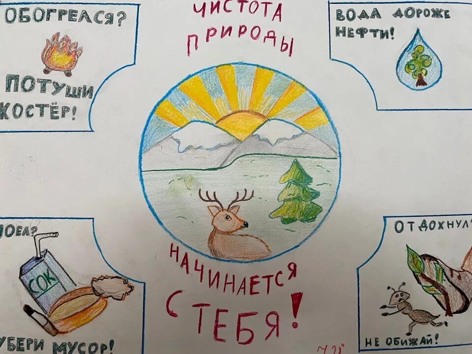 Плакат берегите экологию. Экологический плакат. плакаты связанные с экологией. экологический плакат рисунки. плакат береги свою планету.