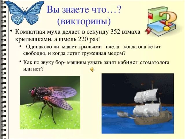 Частота взмахов крыльев мухи. Сколько взмахов в секунду делает пчела крыльями. Сколько взмахов в секунду делает Муха. Частота взмахов крыльев насекомых. Сколько взмахов в секунду делает