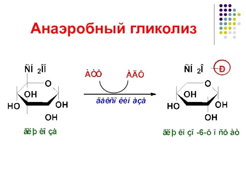 Анаэробный гликолиз схема. Анаэробный гликолиз схема реакций. Анаэробный путь гликолиза. Гликолиз у анаэробов.