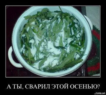 Манаго