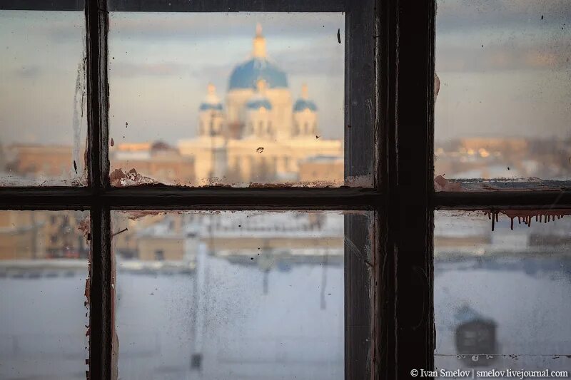 Питерские окна. Питер вид из окна. Петербург из окна. Вид из питерского окна.