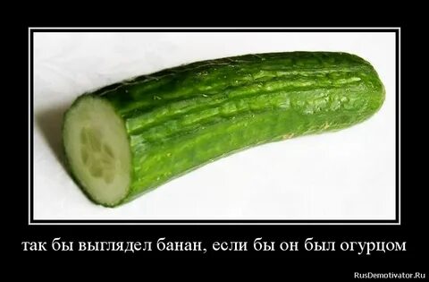 Чего не любит огурец