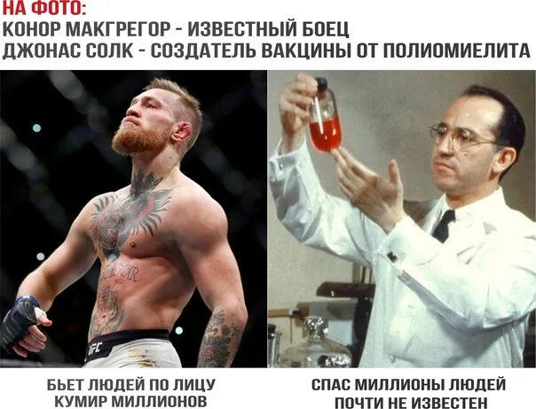 Миллионы мух не могут ошибаться. Даже миллион мух не. миллион мух не может убедить. миллионы мух не могут ошибаться цитата.