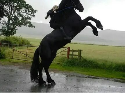 Riding black