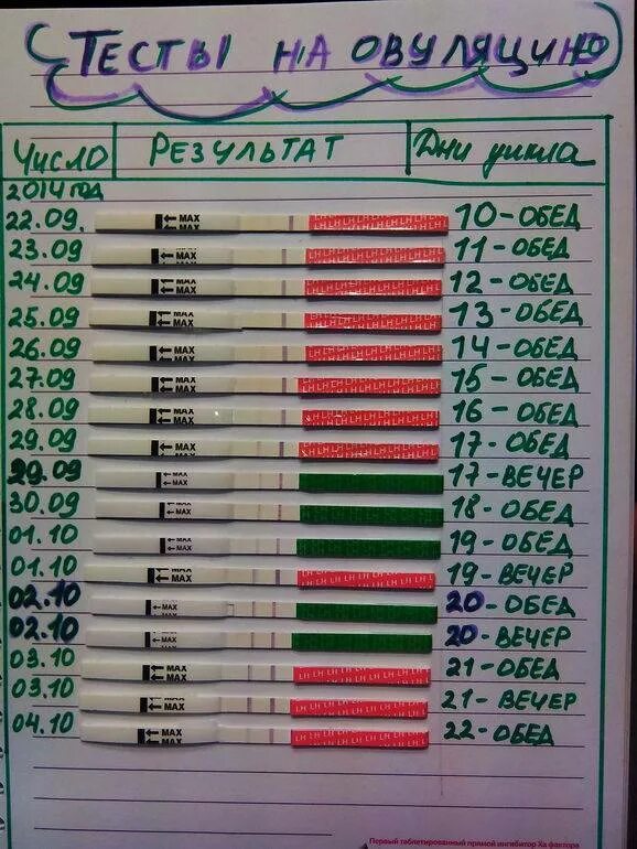 Тесты на овуляцию вечером. Тест на овуляцию. Результаты теста на овуляцию. Темив еа овуляцью. Тесты определяющие овуляцию.