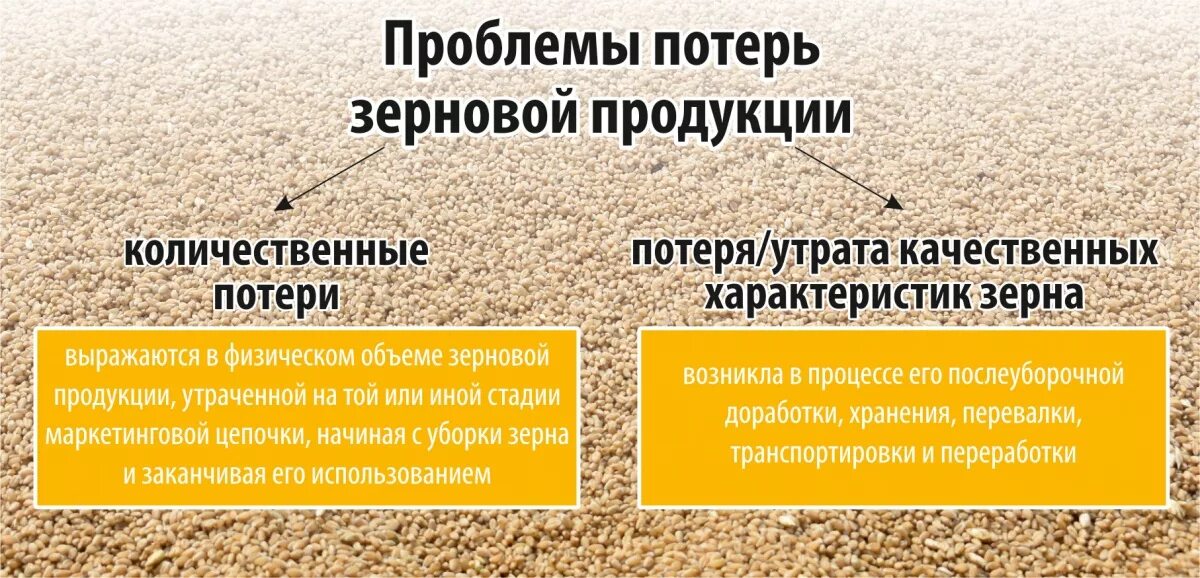 Причины сокращения биоразнообразия. Проблема потерь. Потеря биоразнообразия факторы. Проблема потерь. Проблема потерь.