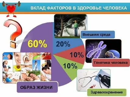 60 среда