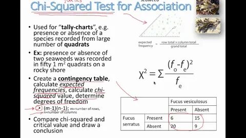 Chi test