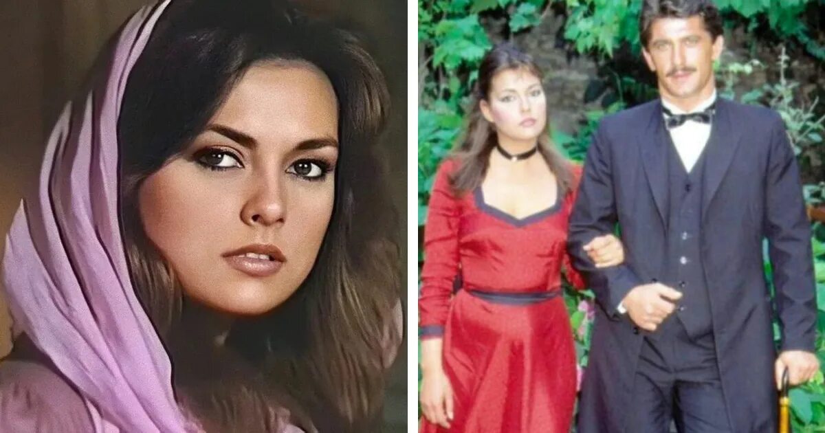 Как сейчас выглядят королек птичка певчая. Айдан шенер королек птичка певчая. айдан шенер фериде. айдан шенер королек.