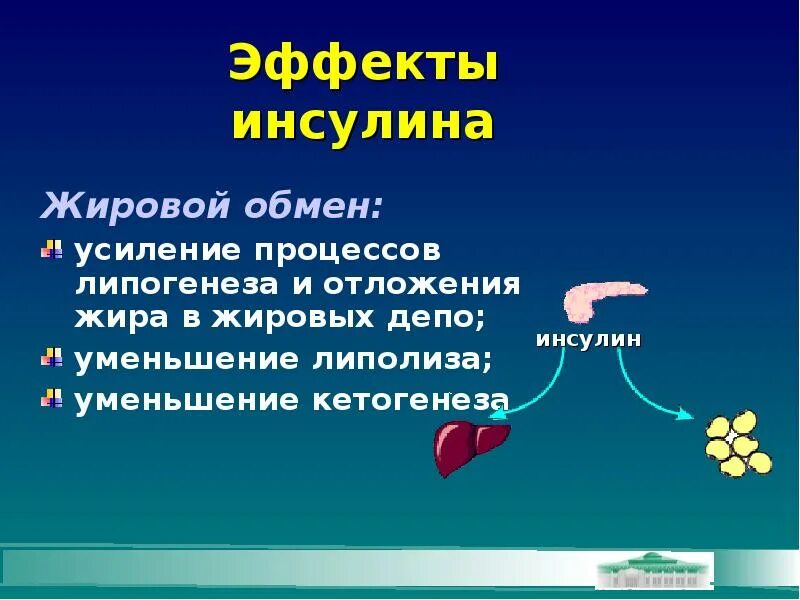 Углеводный жировой