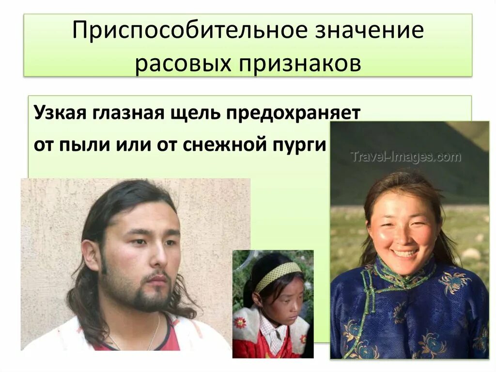 Значение расовых признаков. Приспособительное значение расовых признаков. Значение адаптивных расовых признаков. Адаптивные Расовые признаки.