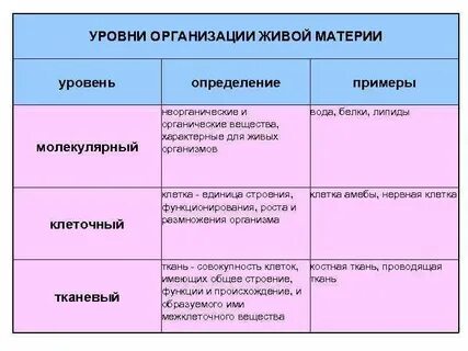 Тканевый уровень примеры организмов
