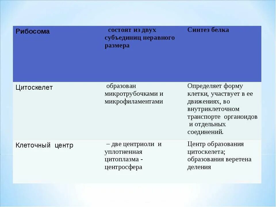 Микротрубочки растительной клетки функции. Органеллы грибовидной формы состоящие из 2 частей субъединиц. Протофиламенты микротрубочек. Образованы микротрубочками состоят из двух субъединиц. Цитоскелет особенности строения и функции.