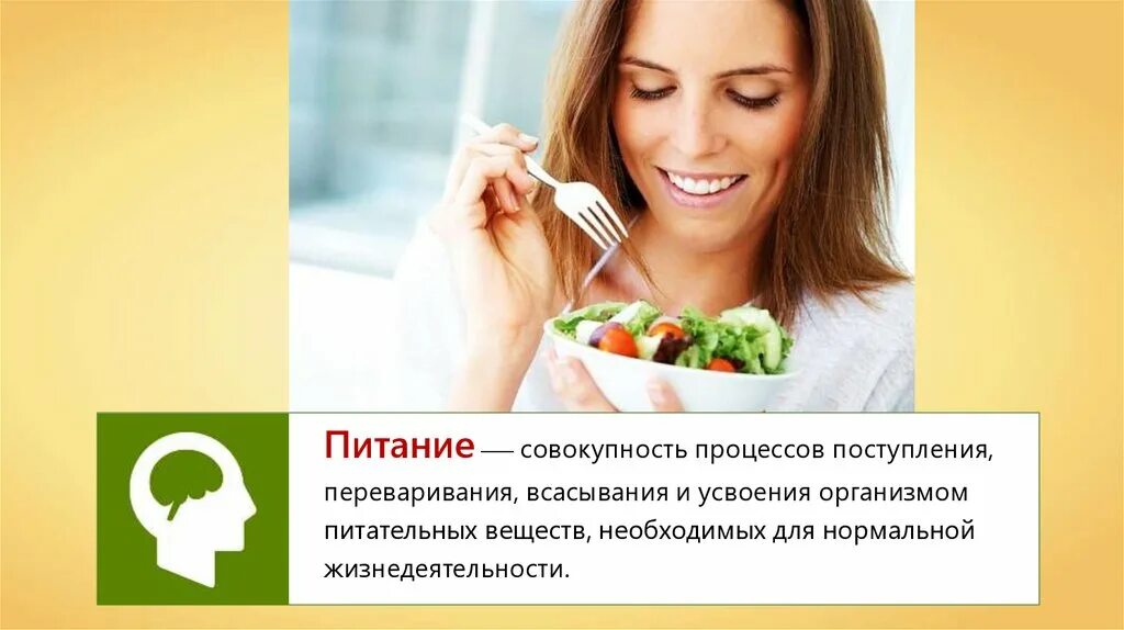 Биология тема питание и его значение. Питание и пищеварение. биология питание и пищеварение. питание и пищеварение 8 класс биология. питание человека биология.