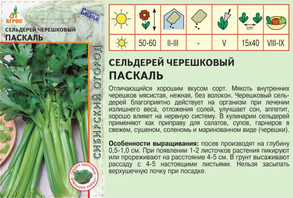 Сельдерей паскаль. Сельдерей Паскаль черешковый. Рассада черешкового сельдерея Паскаль. Семена сельдерей Паскаль черешковый СЕДЕК. Сельдерей черешковый Паскаль 0,1 г, , шт.