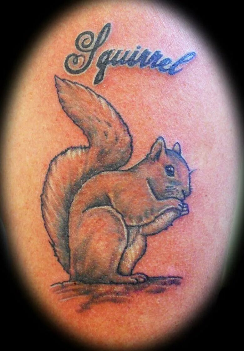 тату белка. тату белка. тату белка эскиз. тату белка эскиз. тату белки.