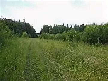 Фроловское шаховская