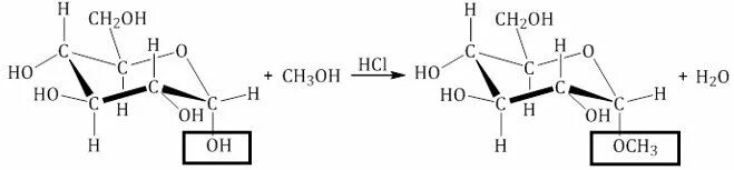 Ch3oh hcl. Д Глюкоза и ch3oh. Глюкоза ch3oh реакция. Глюкоза и метанол реакция. Фруктоза ch3oh.