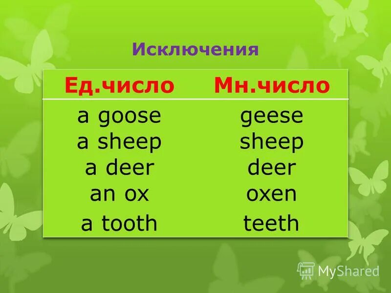 Образуй множественное число tooth. Образуй множественное число tooth