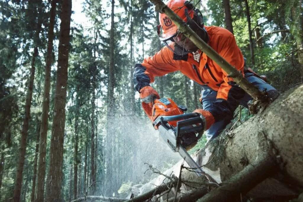 Рубка деревьев. Рубка деревьев. Спил деревьев лесу. Рубка деревьев. Вальщик леса профессия.