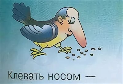 Что значит клевать носом. Клевать носом фразеологизм. Клевать носом картинка к фразеологизму. Фразеологизм клевать носом рисунок. Смысл фразеологизма клевать носом.