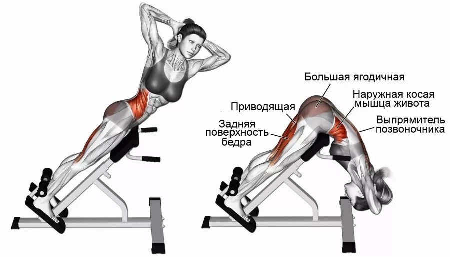 Как накачать внутренние мышцы. Схема тренажера гиперэкстензия. Тренажеры для большой ягодичной мышцы. Гиперэкстензия мышцы. Гиперэкстензия чертеж.