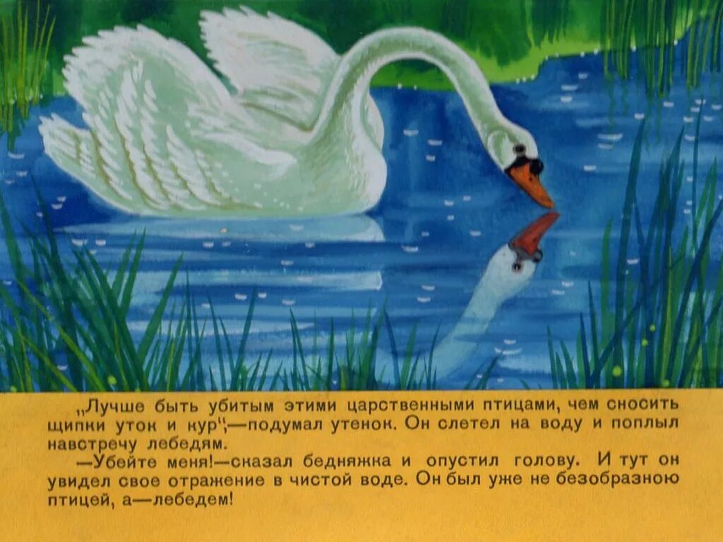 Гадкий утёнок сказка лебедь. Гадкий утенок андерсен. Гадкий утенок 1956. Андерсен гадкий утенок лебедь. Гадкий утенок.