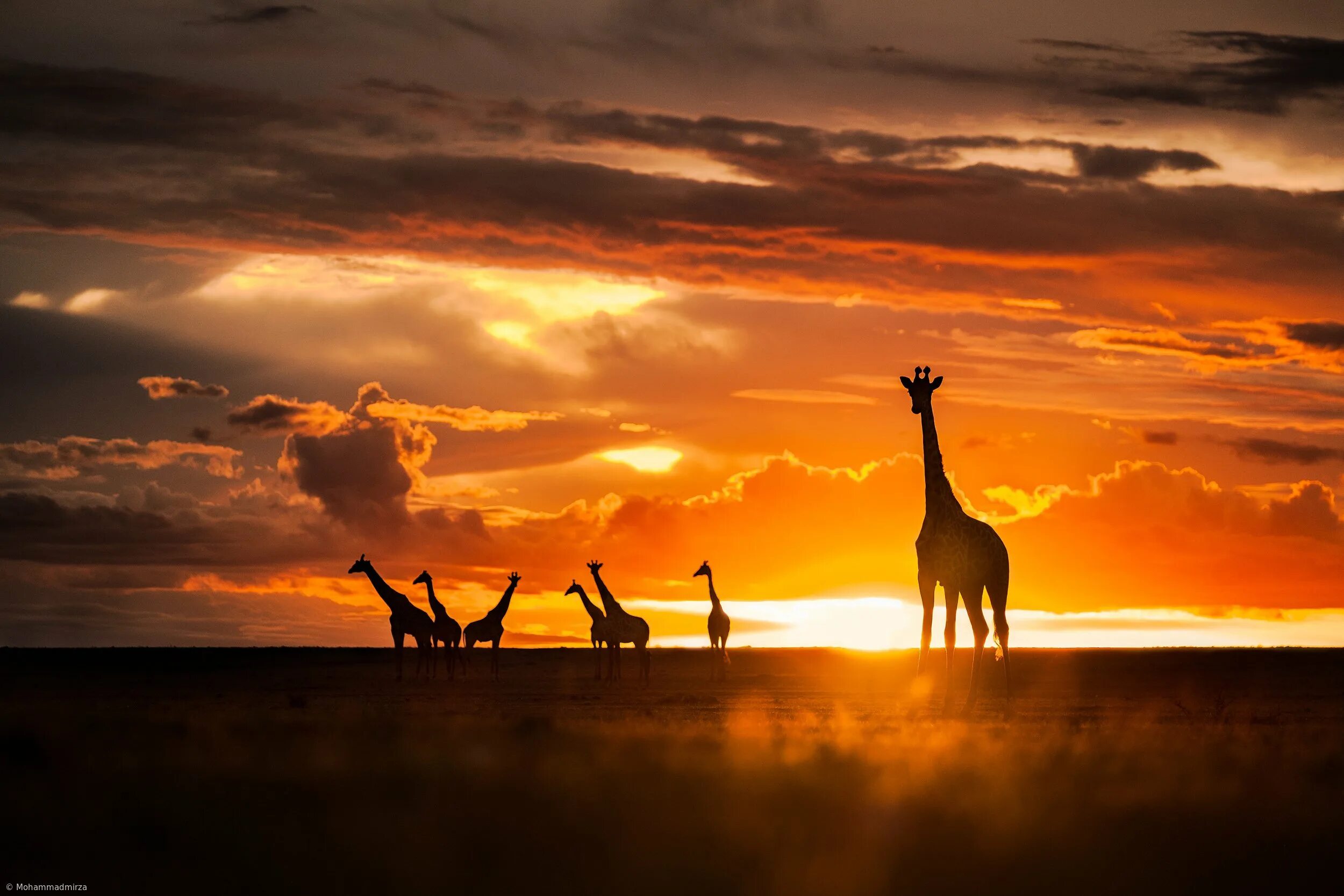 Каждое утро в африке. Рассвет в Африке. Африка пейзаж. Закат в Африке. Африканский рассвет.