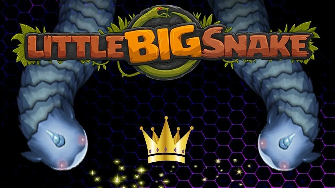 Игра big snake. Игра Биг Снейк ио. Маленькая большая змейка. Большая и маленькая змейка ио. Little big Снейк.