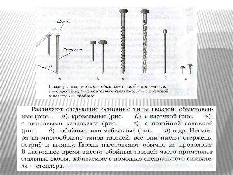 Какая шляпка у гвоздя. Виды гвоздей. Название гвоздей. Гвозди виды и Назначение. Разные виды гвоздей.