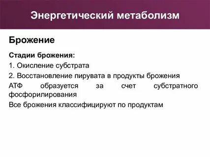 Энергетический обмен клетки тест