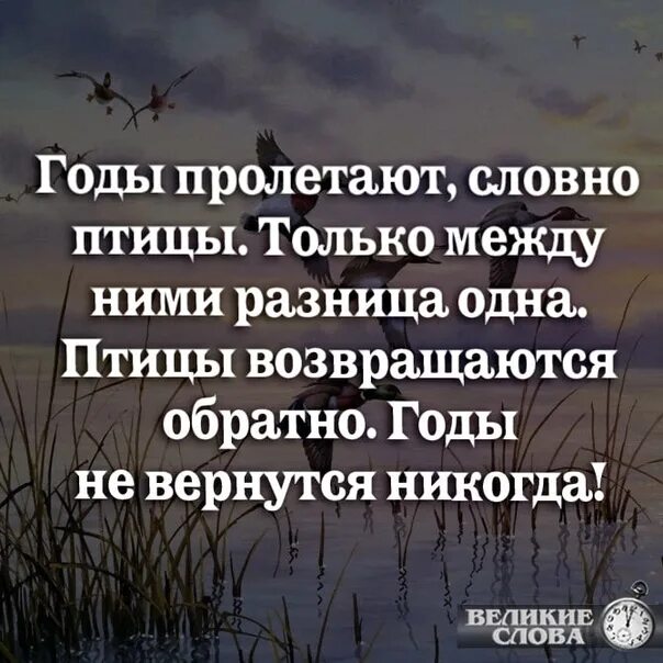 Улетают года. Никогда мы. Песня никогда не вернуться назад. Научись отпускать людей стих. Улетают годы словно птицы.