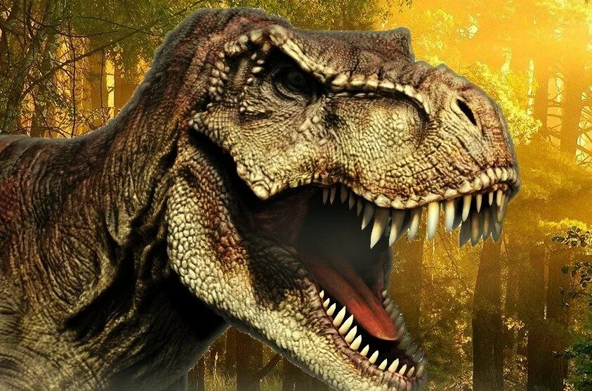 T-Rex 3d. Динозавр 3д. 3 Динозавра. Динозавры 3d.