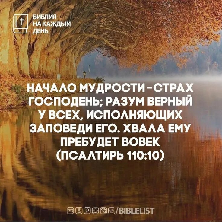 Начало мудрости. Начало мудрости страх господень и познание святого разум. Премудрость страх господень. Премудрость страх господень. Начало мудрости страх господень библия.